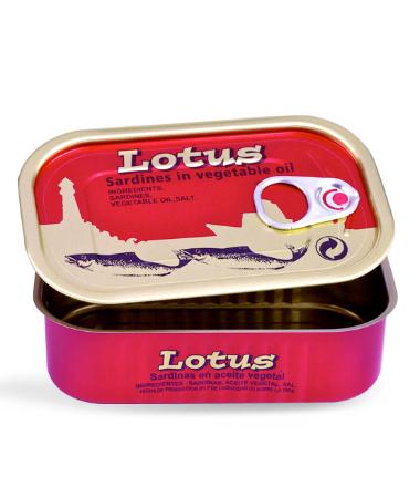 311# Colored Iron Rectangular Empty Two-Piece Can